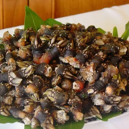 Hotel La Noyesa *** Superior O Grove