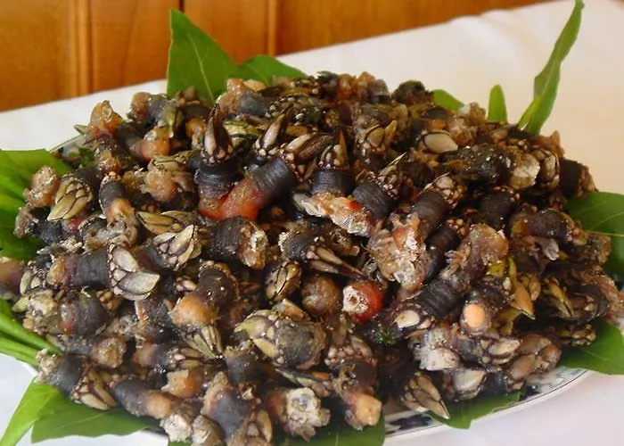 Otel La Noyesa *** Superior O Grove